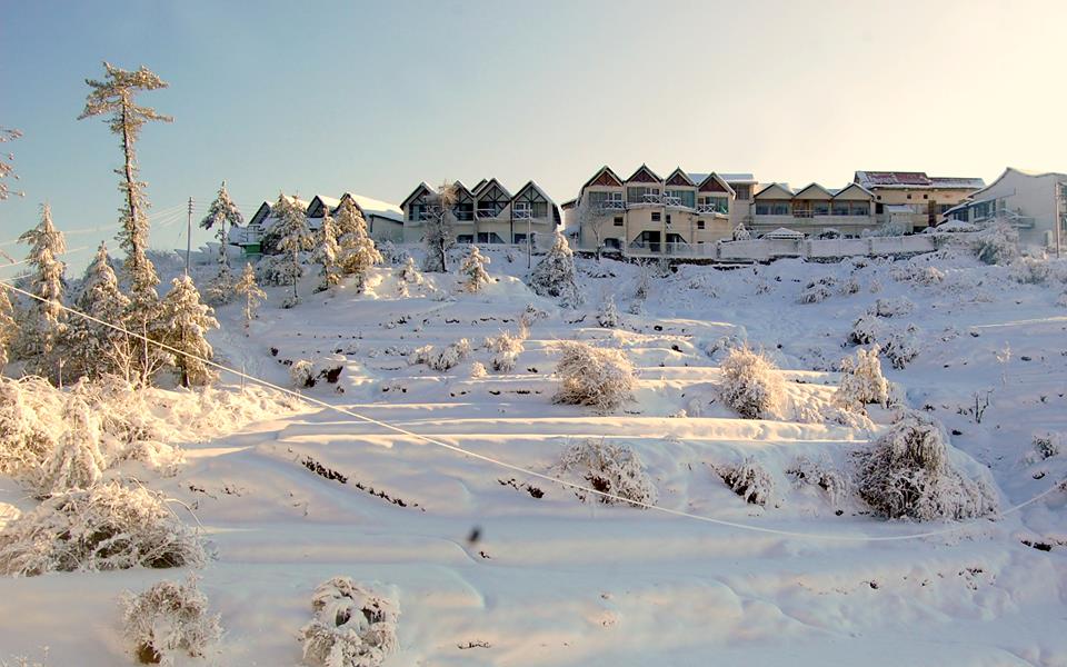 Koti Resorts Shimla Hills
